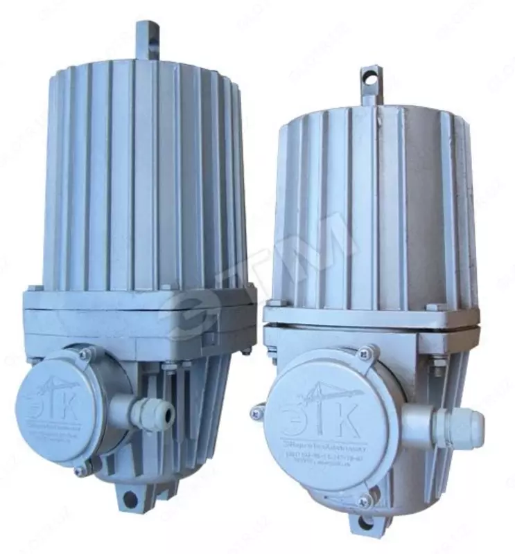 Электрогидротолкатель ТЭ-30 (двухштоковый)