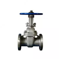 Qaytib olinadigan mil bilan 30c41nj po'lat eshik klapanlari - 1 000 so'mdan