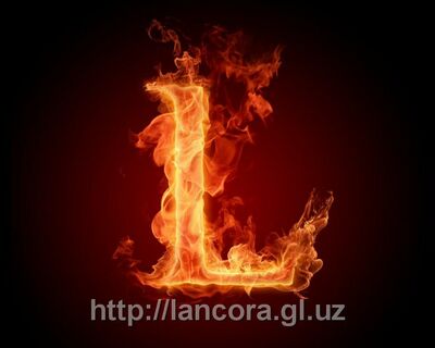 Lancora