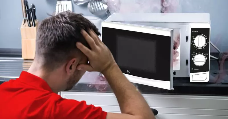 Как выбрать микроволновую печь для дома