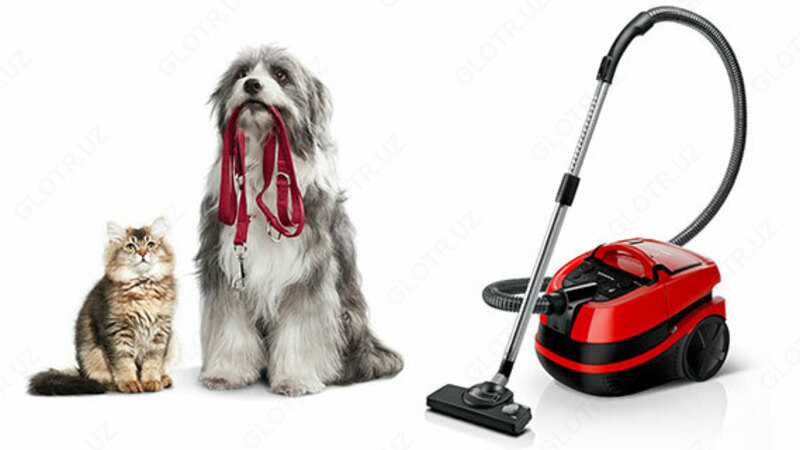  Моющий пылесос Bosch с аквафильтром и турбощеткой. 2100 Вт. - DOSTAVKANADOM