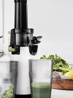 Kitfort tomonidan ishlab chiqarilgan yuqori sifatli vintli sharbat chiqargich (Sankt-Peterburg)