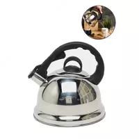 Чайник для всех видов плит от Arshia  3.5 литра