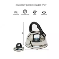   Чайник для всех видов плит от Arshia  3.5 литра