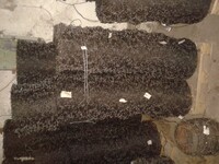 Колючая проволока КЦ-1 - ограждение