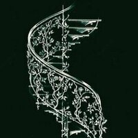 Навесов и атрибутов ландшафтного интерьера