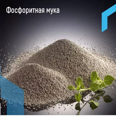 Фосфоритная мука