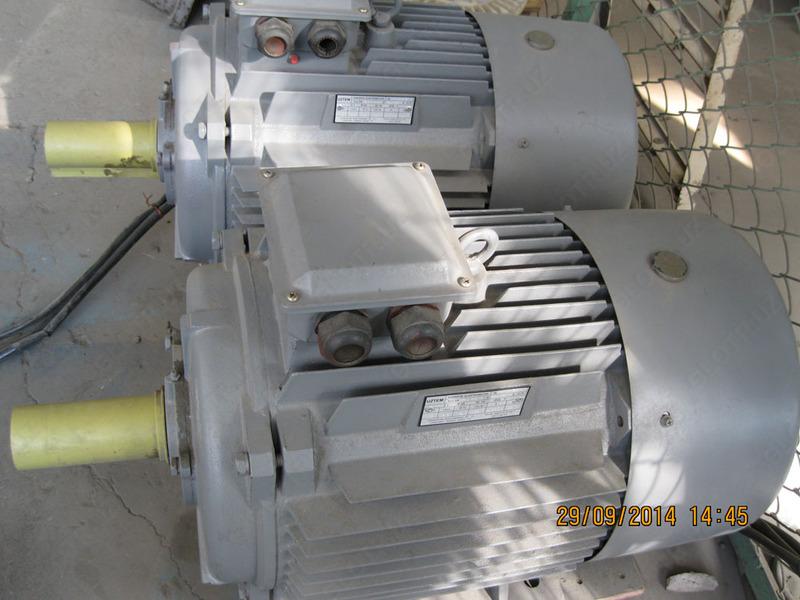 asenkron uch fazali elektr motor 5A200M6 22 kVt 1000 rpm