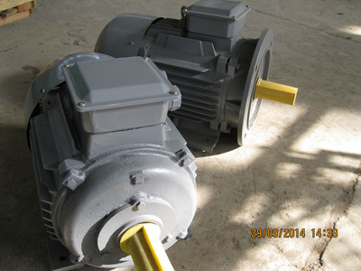 Электродвигатель 5А(АИР)132M4 11 кВт 1500 об/мин IM1081