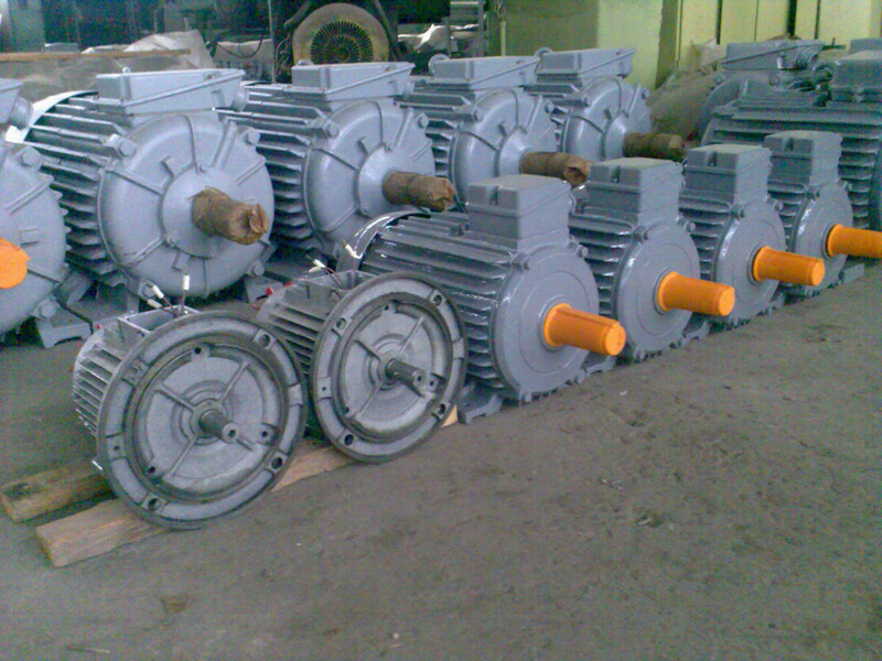 asenkron uch fazali elektr motor 5A200M6 22 kVt 1000 rpm