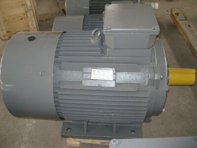 электродвигатель 5А(АИР)250М8 45 кВт 750 об/м IM1081