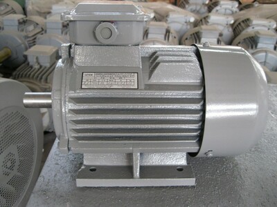 asinxron uch fazali elektr motor 5A(AIR)90L4 2,2 kVt 1500 rpm IM1081