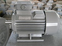 электродвигатель 5А(АИР)90L4 2