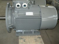 электродвигатель 5А(АИР)200L6 30 кВт 1000 об/м IM2081