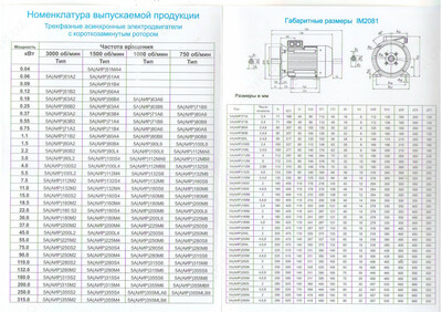 elektr motor 5A(AIR)200L6 30 kVt 1000 aylanish / min IM2081