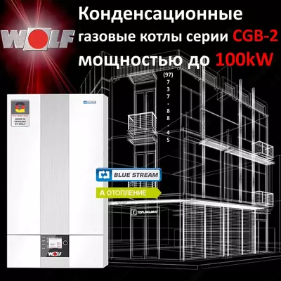 Газовый котел WOLF CGB-2-55 (Конденсационный) до 550м2