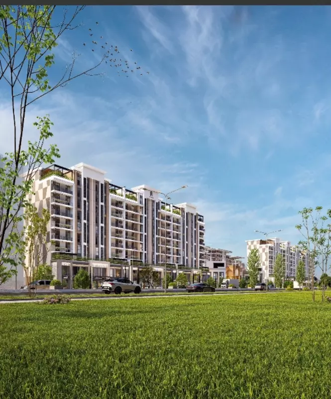 Проект и дизайн офисов