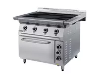 Плита электрическая ПЭ49Ж . МХМ.