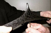 Жидкая резина эмульсия битумно полимерная универсальная Bitumfex 1K Оптом и розница