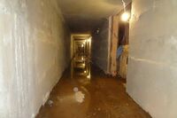 60 000 сум Защита от грунтовых вод. Услуги по Гидроизоляции. Гидроизоляция под ключ с гарантии 100%