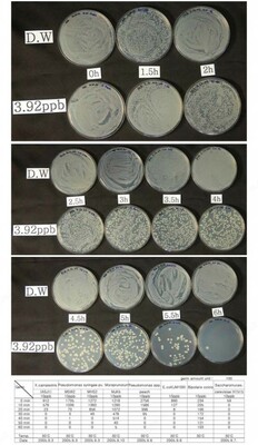 Kumush ionli suv sterilizatori - 654 000 so'm / donadan