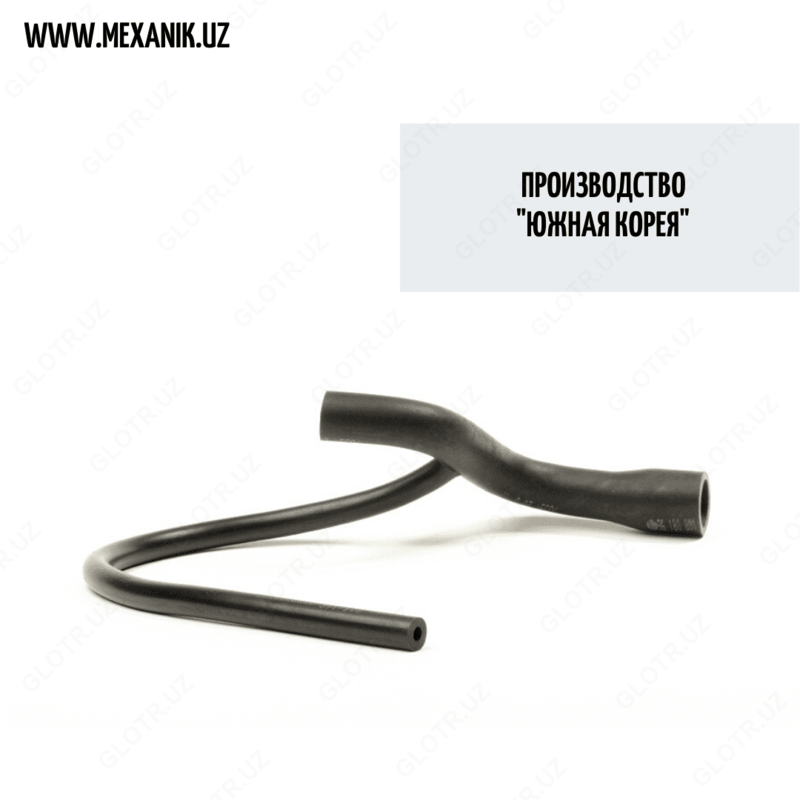 Neksiya Sons shlangi (Janubiy Koreya)