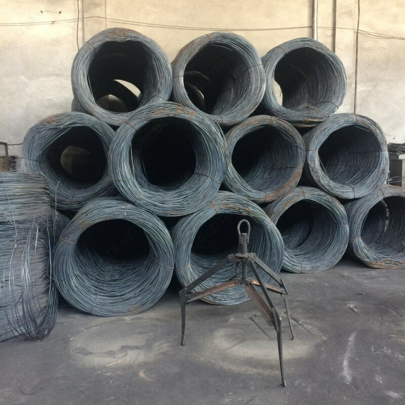 Rus simi (diametri) 5.5