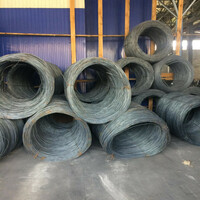 {0} so'mdan Rus simi (diametri) 5.5