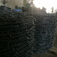 Tikonli sim - {0} so'mdan