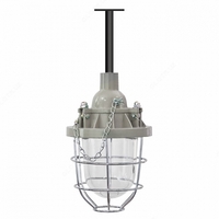 Светильник взрывозащищенный ВЗГ-100