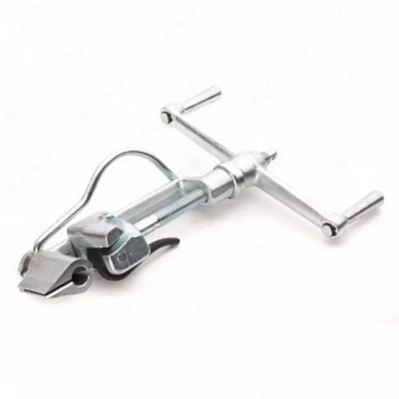 In-20 vositasi (Xitoy)