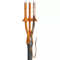 Ichkarida o'rnatish uchun issiqlik bilan qisqaradigan so'nggi gilzalar 3KVTpN-10-35…50 tirgaklari bilan