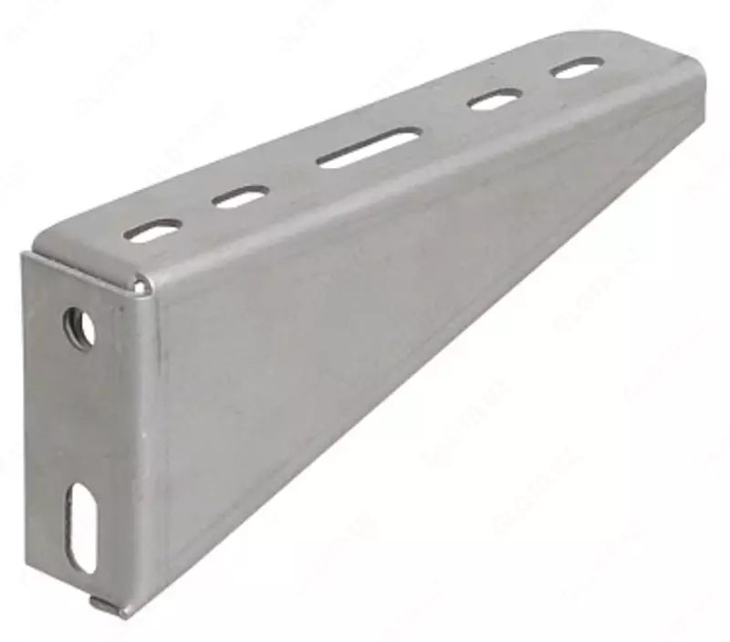 Devor qavsining devor 100 (Iek)