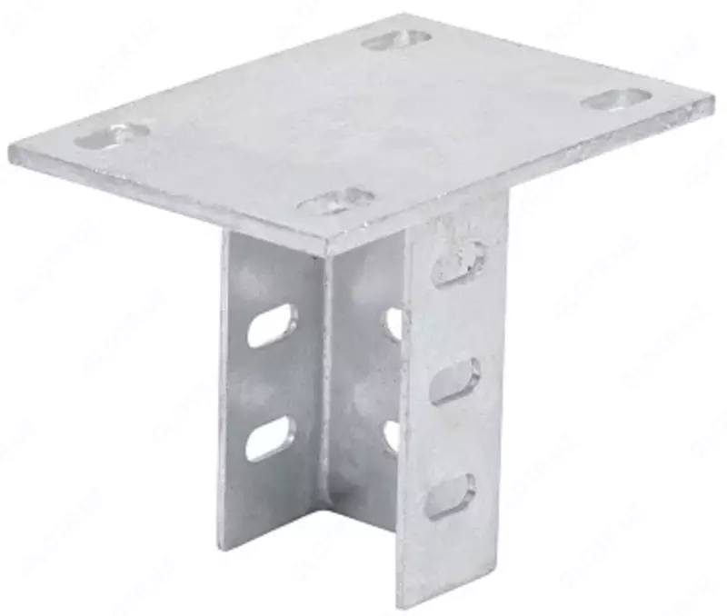 Devor qavsining devor 100 (Iek)