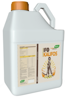 IFO Kalifos