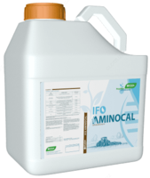 IFO Aminocal