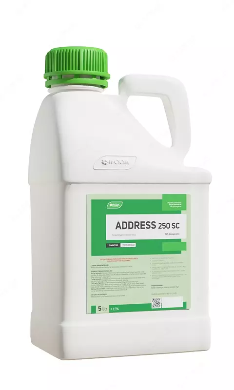 Address 250 SC - 540 000 so'm