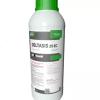 DELTASIS 2