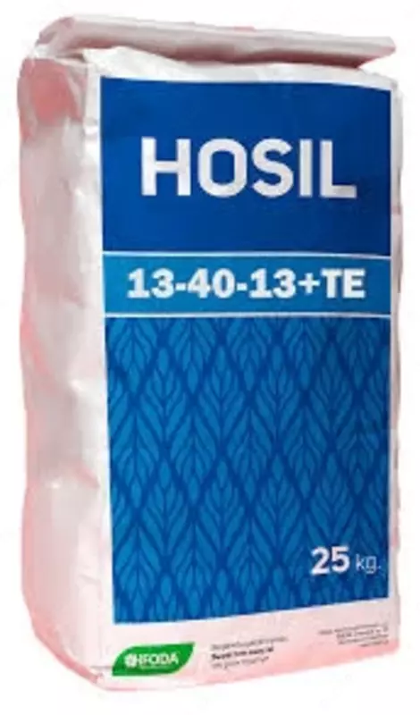 HOSIL 13 - 40 - 13 + TE