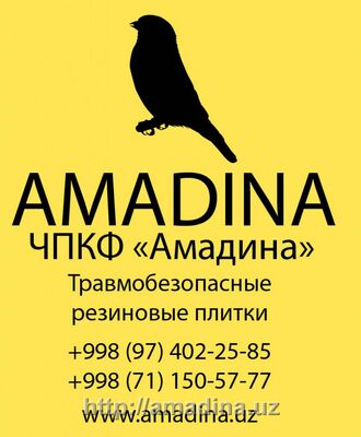 Amadina