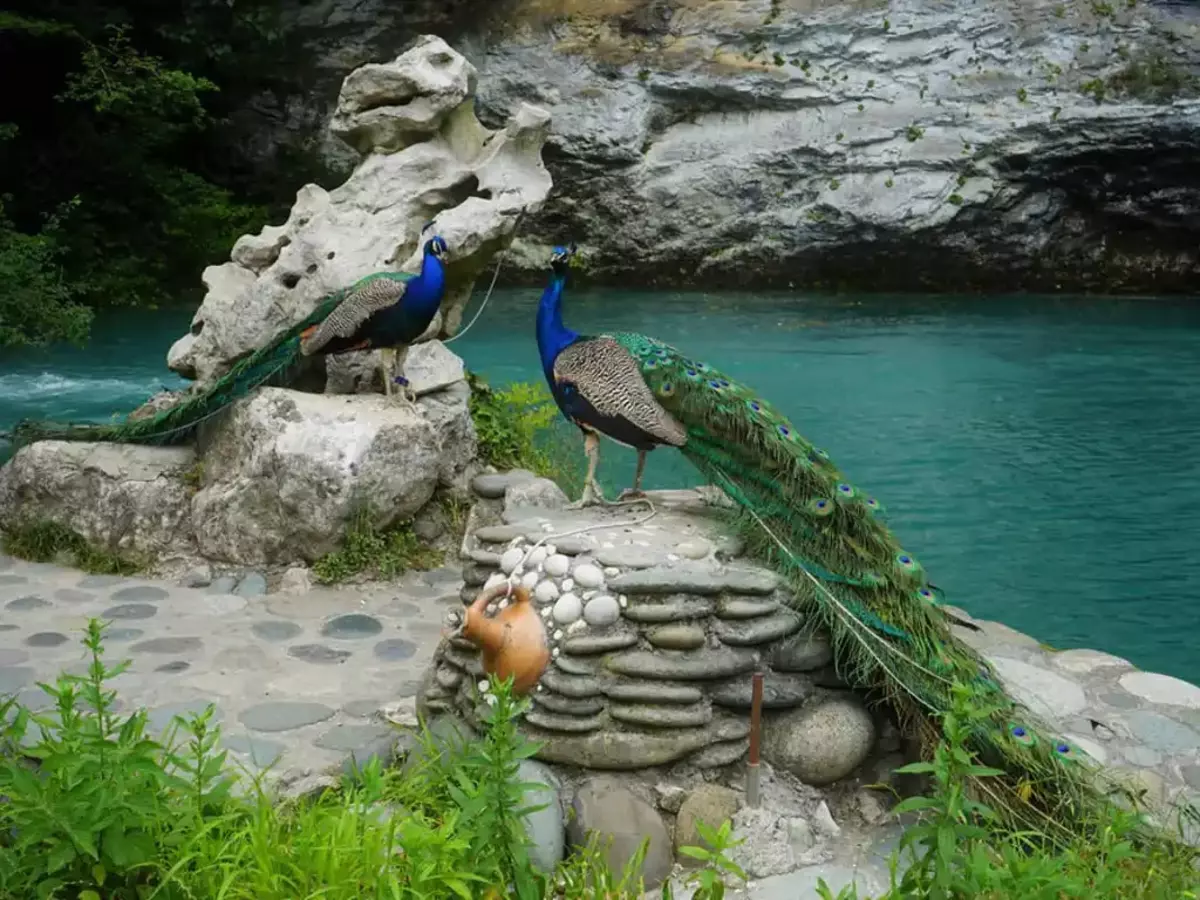 2025-12-23-12-48-23-185509-06c59bd8df904aeba5c30c6099f09dca.webp?_=ozbol