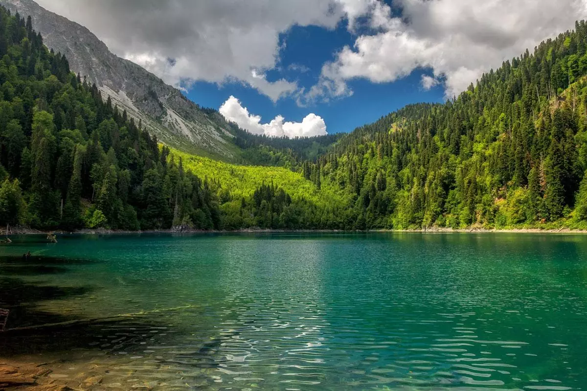 2025-12-25-14-46-13-237631-f13133c0cfcf23894037c253174df4cc.webp?_=ozbol