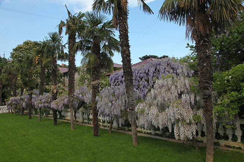   ROSSIYA: Qrimdagi davolash 🇷🇺 + temir yol chiptalari