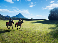 Словения: Рогашка Слатина - 8 474 734.5 сум