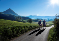 Словения: Рогашка Слатина Только в розницу