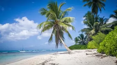 DOMINIKANDA BAYRAMLAR - 7 kecha (YANGI)