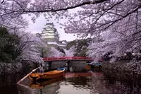  Туры в Японию Цветение Сакуры - 2023 ITS TASHKENT