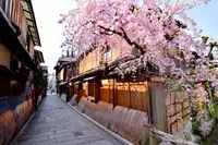  Туры в Японию Цветение Сакуры - 2023 - ITS TASHKENT