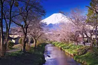  ITS TASHKENT - Туры в Японию Цветение Сакуры - 2023