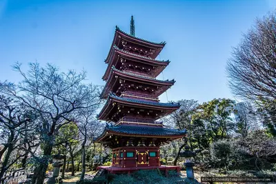 🇯🇵 ЯПОНИЯ: Групповой тур «ЛЕГЕНДЫ и ОГНИ ТОКИО»